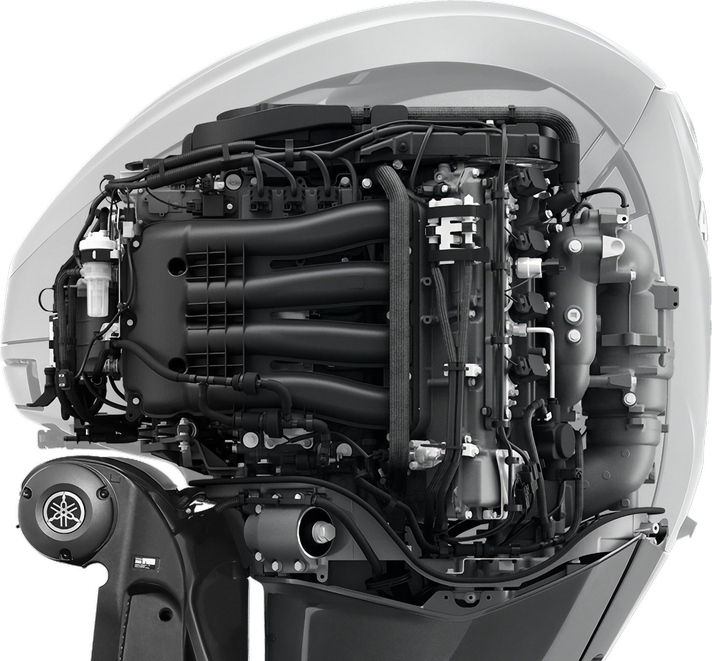 Tampa Marine Tuning