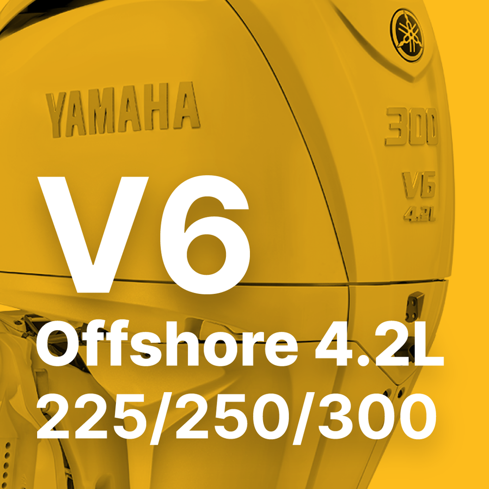 
                  
                    V6 4.2L Yamaha Offshore 225, 250, 300 Nizpro Tune (2008-Present)
                  
                